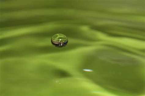 Fotos gratis agua naturaleza césped soltar Rocío líquido