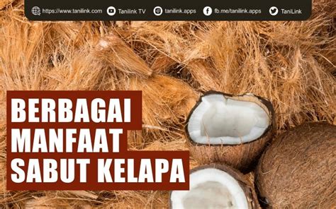 Berbagai Manfaat Sabut Kelapa Yang Jarang Diketahui