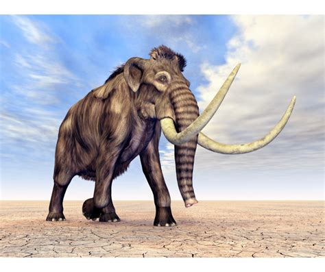 Scientists Bring Woolly Mammoth Back To Life Is Jurassic Park Becoming