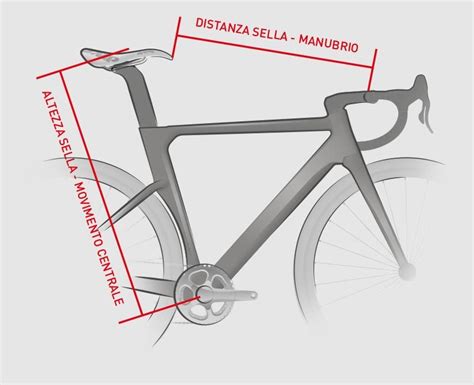 Montaggio E Regolazione Della Sella Istruzioni Uso E Manuntenzione