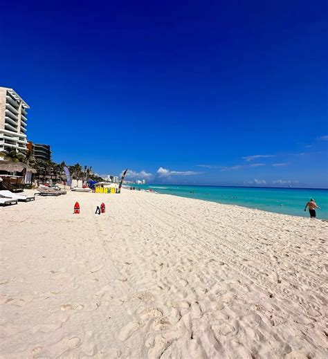 Sem Foro Del Sargazo En Canc N Mira Las Playas Limpias