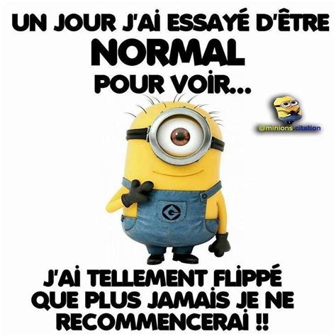 A Minion Is Shown With The Caption In French