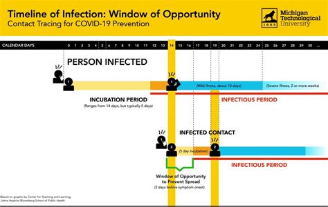 Stages Of Covid 19 Infection Day By Day 2024 Essie Abagael