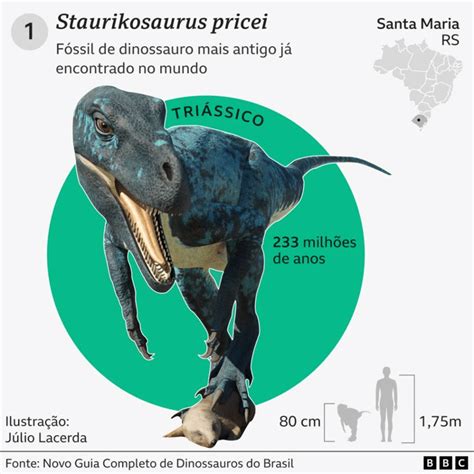 Dinossauro No Brasil - Fascinantes histórias de 7 dinossauros encontrados no Brasil