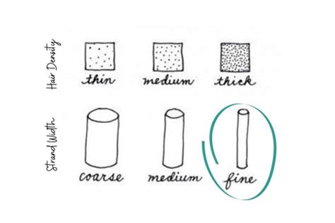 Fine VS Coarse Hair, What’s the Difference Between Them? – Sunber