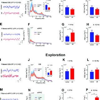 Synchrony Of Delta And Theta Activity In OB MPFC Circuit A B The