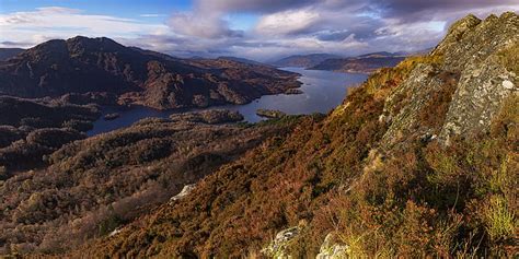 Hd Wallpaper Aerial Photography Of Brown Leaf Trees Near Body Of Water