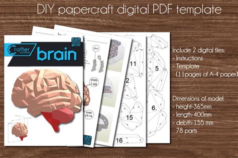 Papercraft DIY Brain Papercraft 3d Brain Dxf Human Brain - Etsy