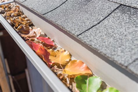 Clog-Free Gutters, Protect Your Austin, TX Home - Gutter Tex