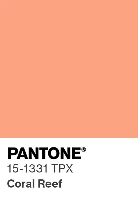 Pantone® Deutschland Pantone® 15 1331 Tpx Find A Pantone Color Quick Online Color Tool