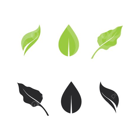 Diseño De Logotipo De Vector De Hoja De árbol Concepto Ecológico Png