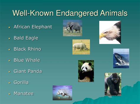 endangered animals important hzwfvt