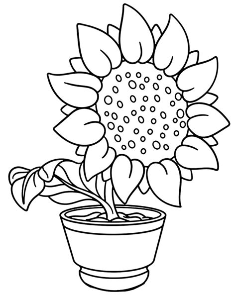 Imagens De Girassol Para Colorir - 9