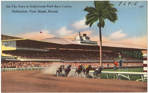 On The Turn At Gulfstream Park Race Course Hallandale Near Miami