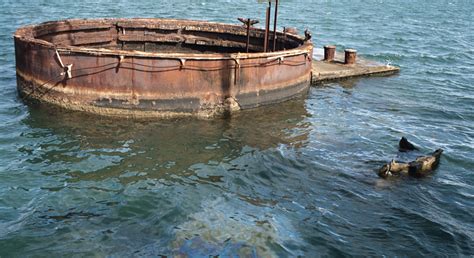 14 Little-Known Facts About The Attack On Pearl Harbor | eBaum's World