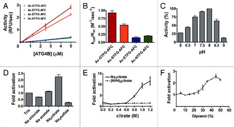 Characterization Of Atg B Activity Using Synthetic Peptide Substrates