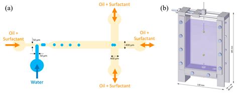 Separations Free Full Text Mass Transfer And Droplet Behaviors In