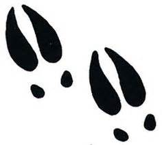 Deer Track Tattoo Designs - ClipArt Best