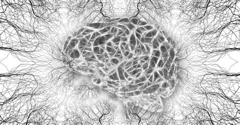 Exploring Neurons' Molecular Highways: How a Key Protein Regulates ...