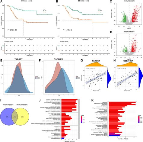 Frontiers Analysis Of Immunestromal Score Based Gene Signature And