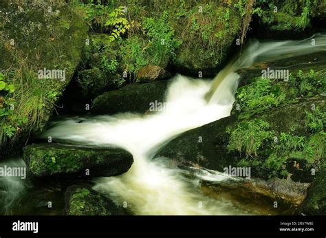 Triberg Waterfall In The Black Forest Stock Photo Alamy