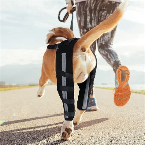 Best Dog Brace For Acl Tear And Dog Cruciate Ligament For Sale Lovepluspet