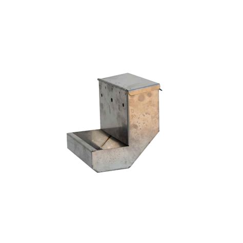 Stainless Steel Dog Feeders | Backyard Pet Supplies