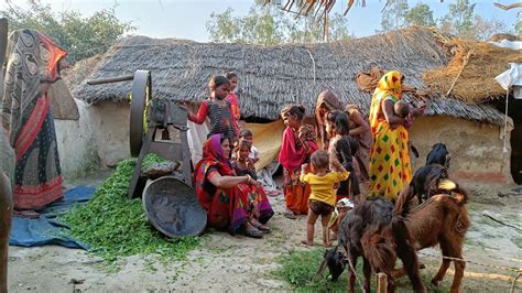 Real Life Indian Village Farmers Daily Routine Of Uttar Pradesh Ll