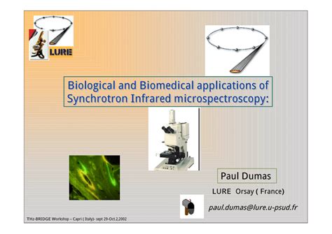 (PDF) Biological and Biomedical Applications of Synchrotron Infrared ...