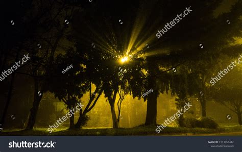 16 Rayo De Luz Stock Photos, Images & Photography | Shutterstock