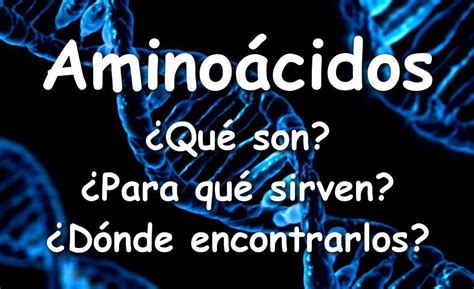 Aminoácidos Qué son y para qué sirven Lista de aminoácidos esenciales