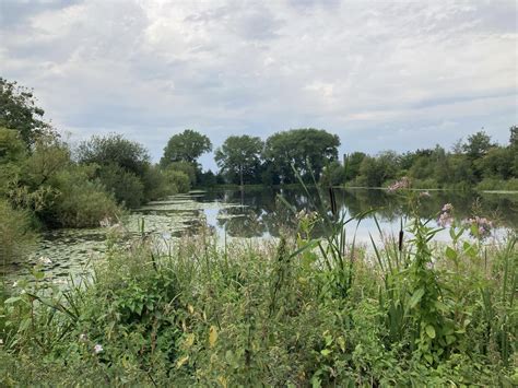 Secret Lake And Highfield Country Park Ramblers