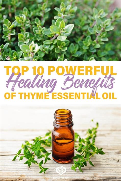 Thyme Oil Kills Strains Of Bacteria Even Antibiotic Resistant