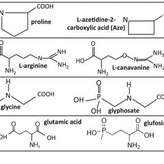 Molecular Structures Of The Coding Amino Acids Proline L Arginine