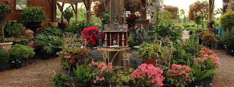 Houston Location Shades Of Texas Nursery Landscaping The