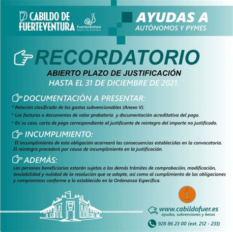 El Cabildo Abre El Plazo De Justificaci N De La Solicitud De Ayudas A