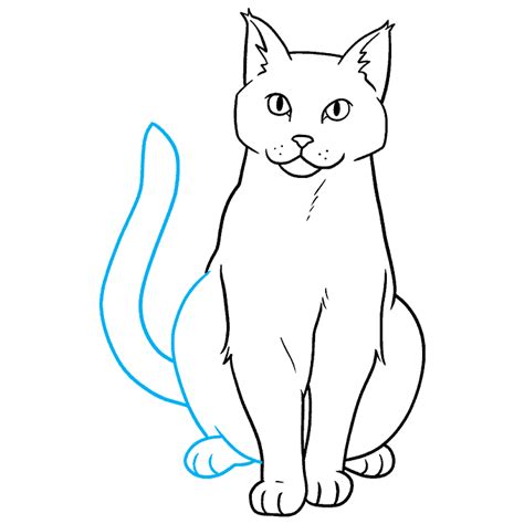 orange kitty drawing  william ferdinand blog