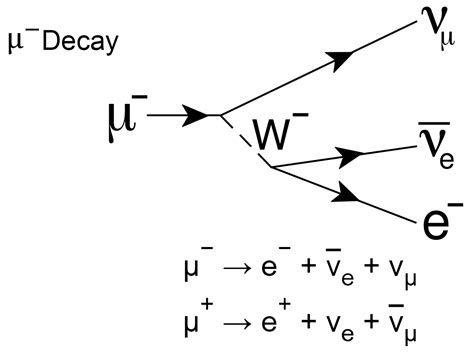 How Neutrinos Are Formed And Detected Digitash