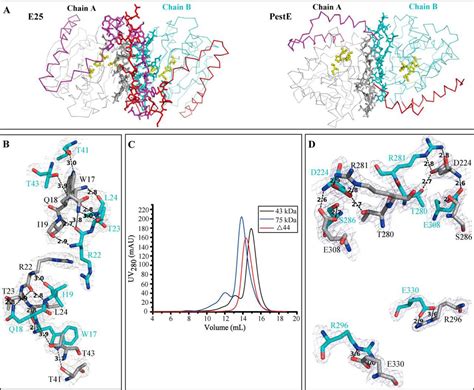 Structural Basis For Dimerization And Catalysis Of A Novel Esterase