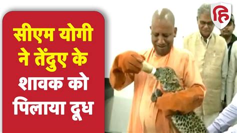 Yogi Adityanath Feeds Milk To Leopard Cubs