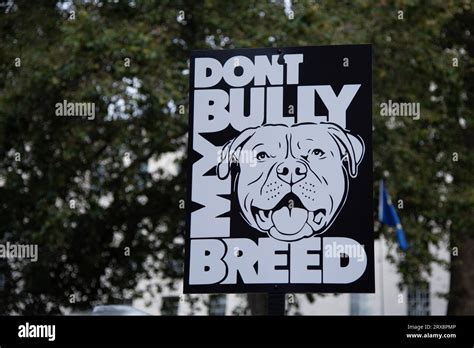 Londres Royaume Uni 23 Septembre 2023 Un Manifestant Tient Une