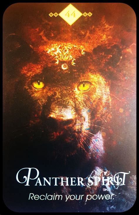 Spirit Animal Oracle Collette Baron Reid Panther Spirit Reclaim Your