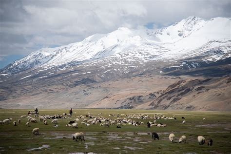 Ladakh Changtang Peaks Exploratory M Himalaya Alpine Guides