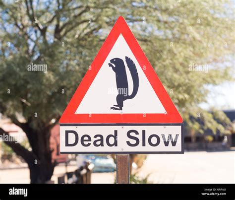 Dead Slow Road Sign High Resolution Stock Photography and Images - Alamy