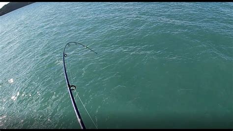 Hard Winter Day Kahawai Yellow Eyed Mullet Fishing Nz Youtube