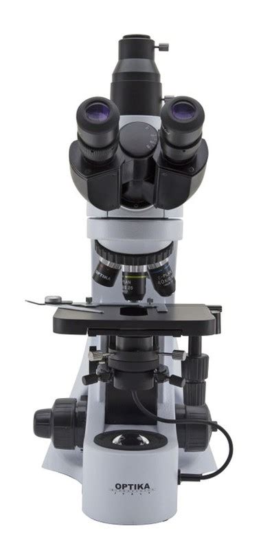 Microscopio Optika B 383 1000x Trinocular — Raig