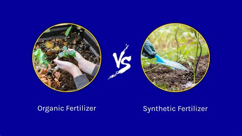 Organic vs. Synthetic Fertilizer: Discover the Pros and Cons of Each ...