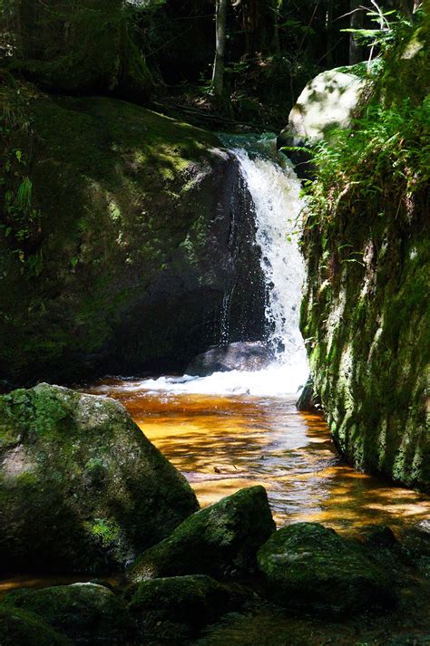 Free Images Landscape Tree Nature Forest Rock Waterfall Wilderness Leaf River Valley