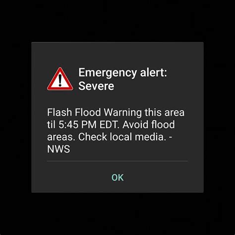 Flash Flood Emergency Alert - irahdumblar