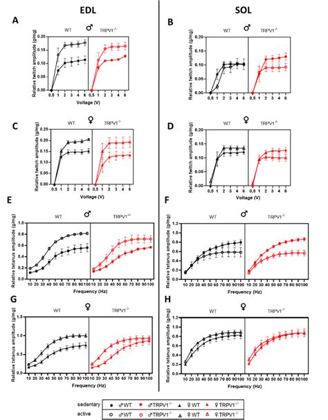 Force Voltage And Force Frequency Relationships Of Extensor Digitorum